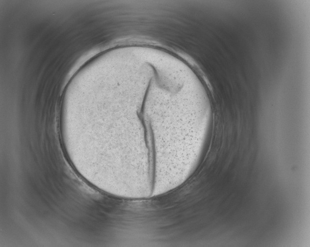 X0000080181390200701051646