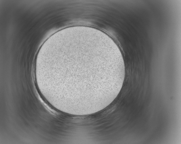 X0000080181391200701051646