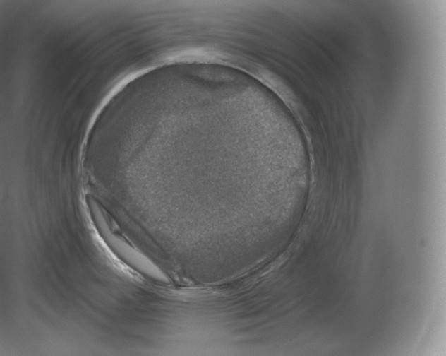 X0000080181392200701051646