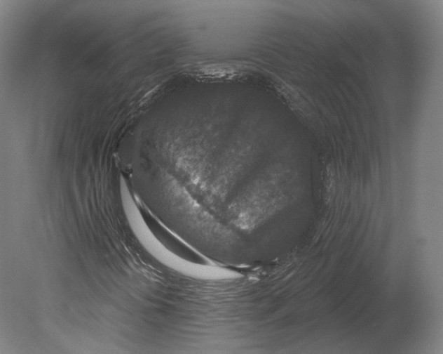 X0000080181394200701051645