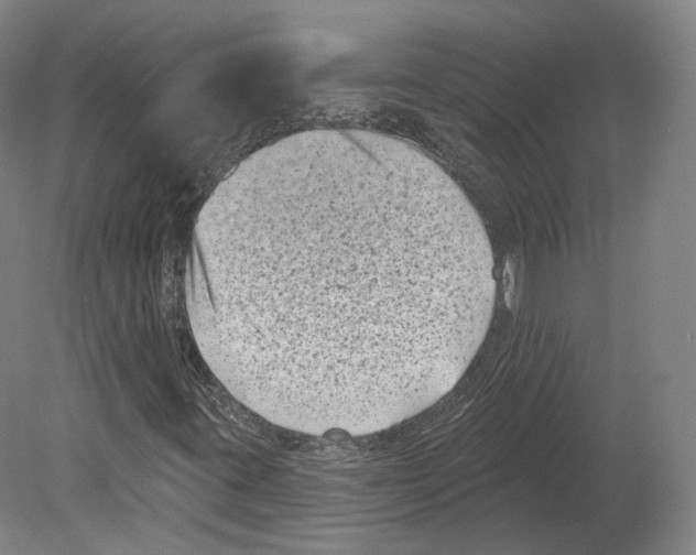 X0000080181395200701051645