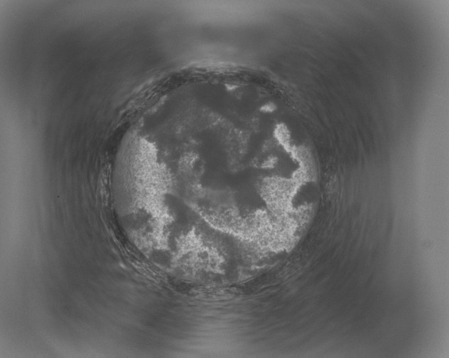 X0000080181397200701051645