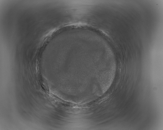 X0000080181398200701051645