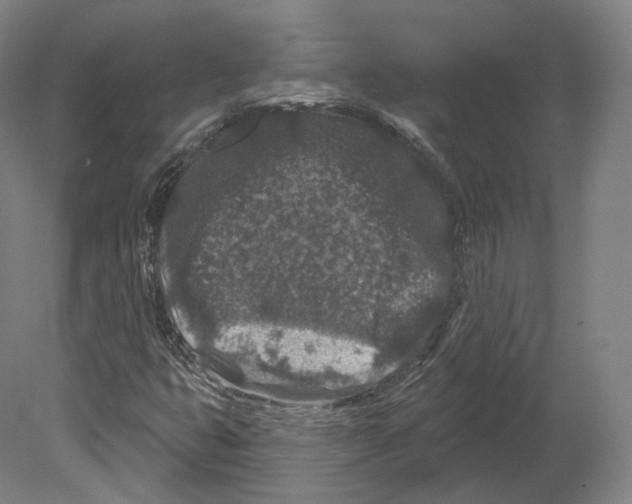 X0000080181399200701051645