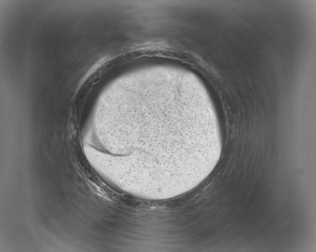 X0000080181400200701051645