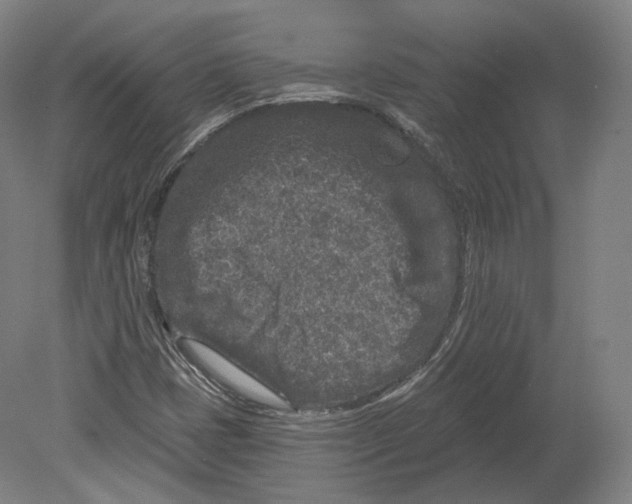 X0000080181401200701051645