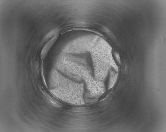 X0000080181402200701051645