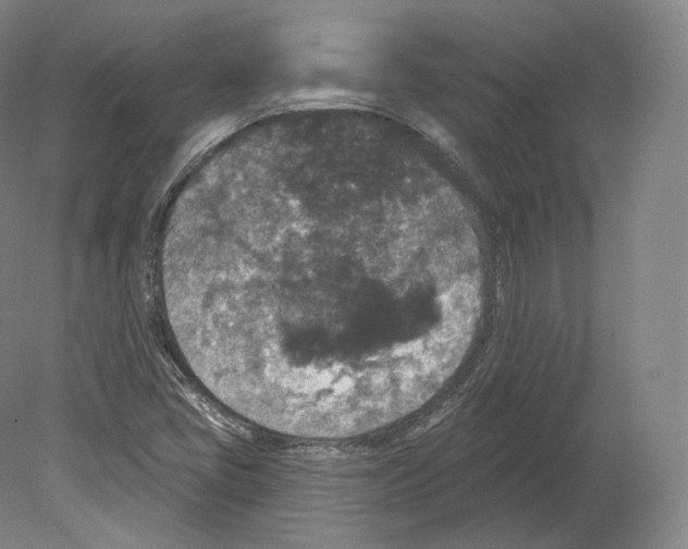 X0000080181405200701051645