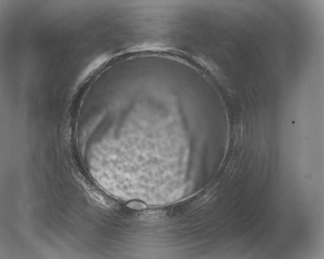 X0000080181406200701051645