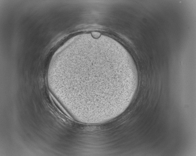 X0000080181407200701051645