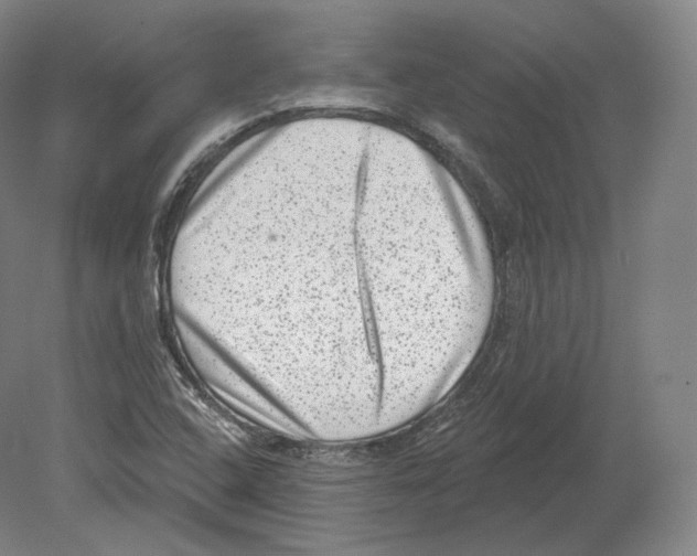 X0000080181408200701051645