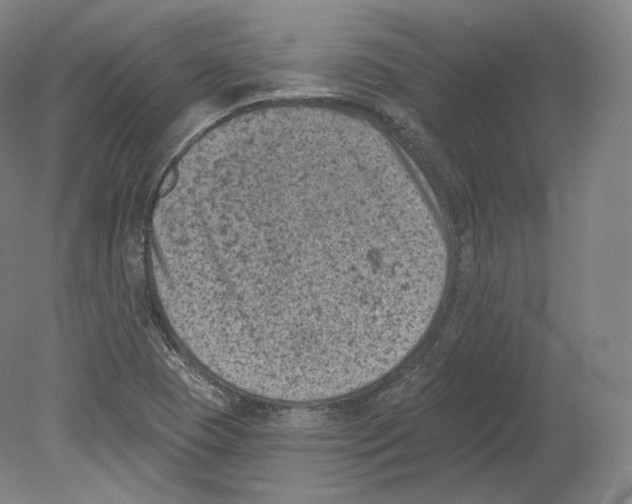 X0000080181409200701051645