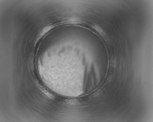 X0000080181410200701051645