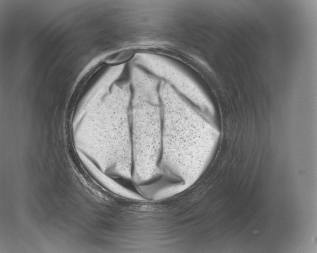 X0000080181412200701051645