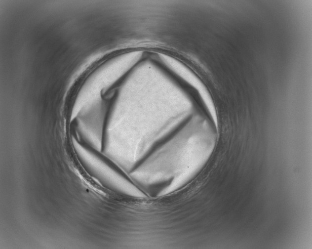 X0000080181414200701051645