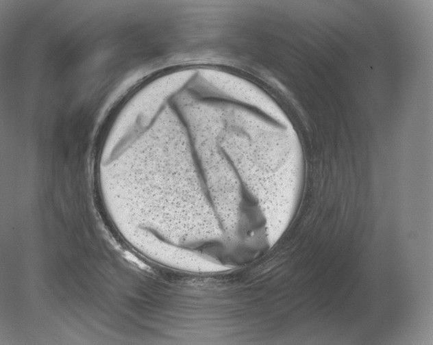 X0000080181416200701051645