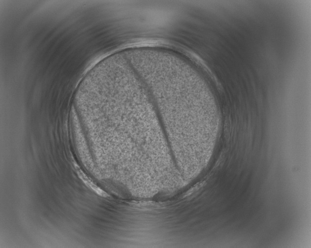 X0000080181417200701051645