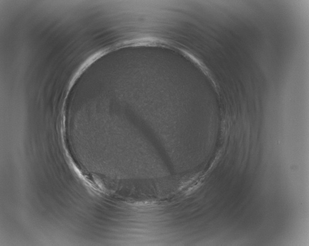 X0000080181418200701051645