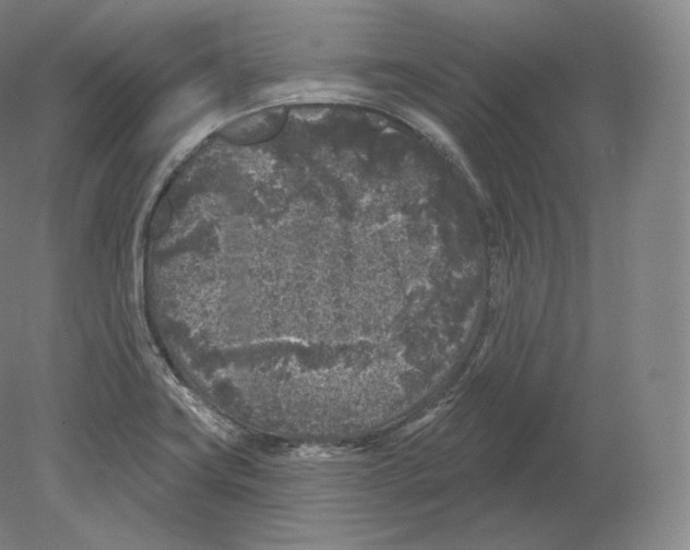 X0000080181419200701051645