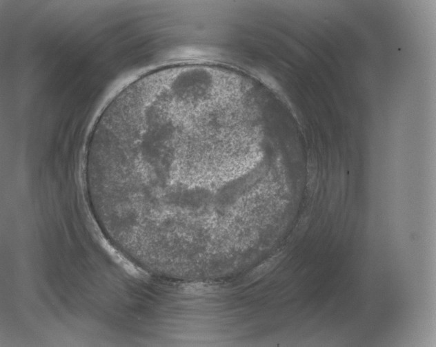 X0000080181421200701051645