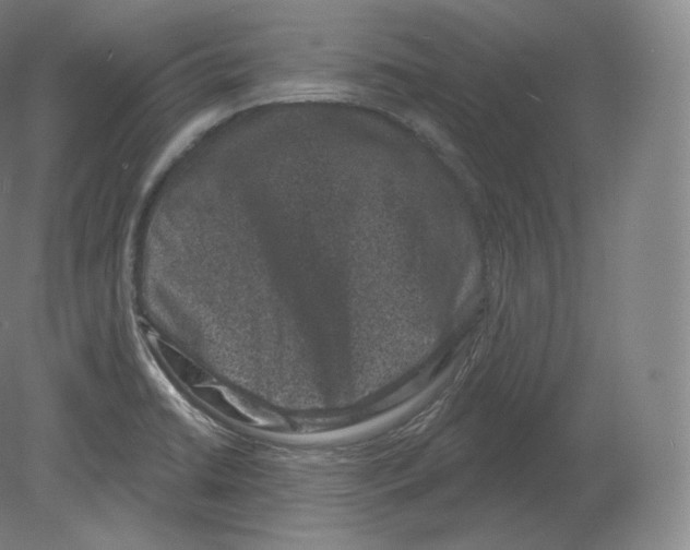 X0000080181422200701051645