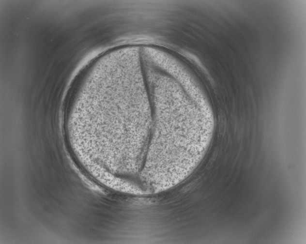 X0000080181424200701051645