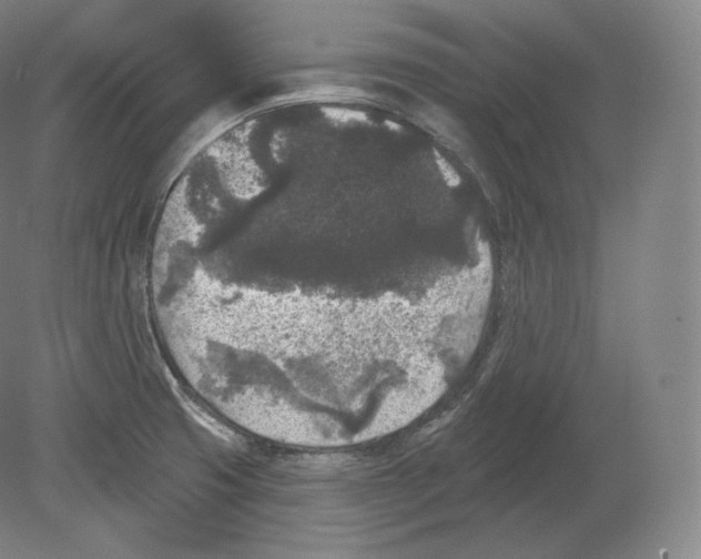 X0000080181425200701051645