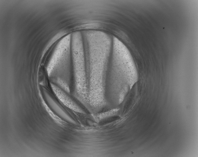 X0000080181426200701051645