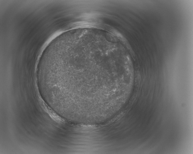 X0000080181427200701051645