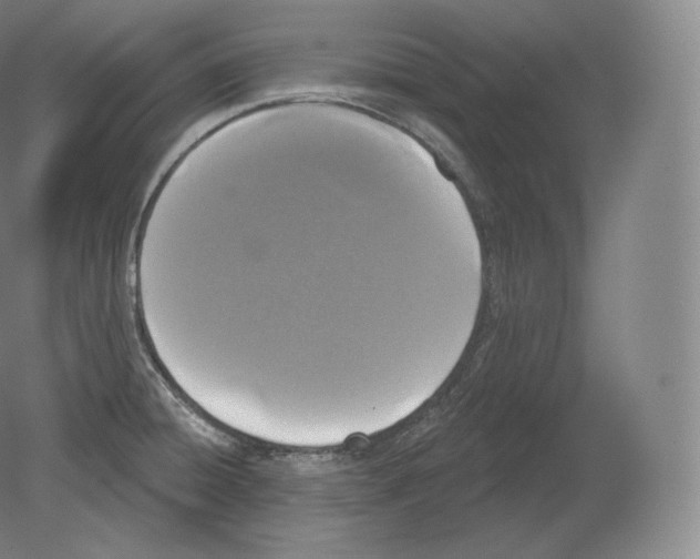 X0000080181428200701051645