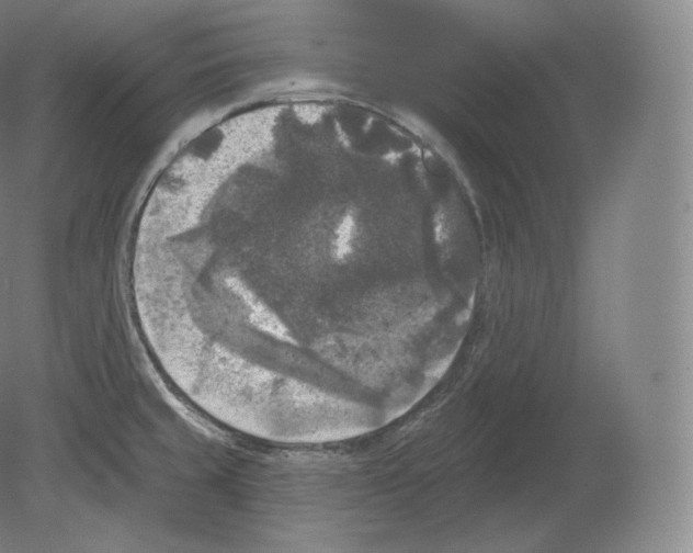 X0000080181429200701051645