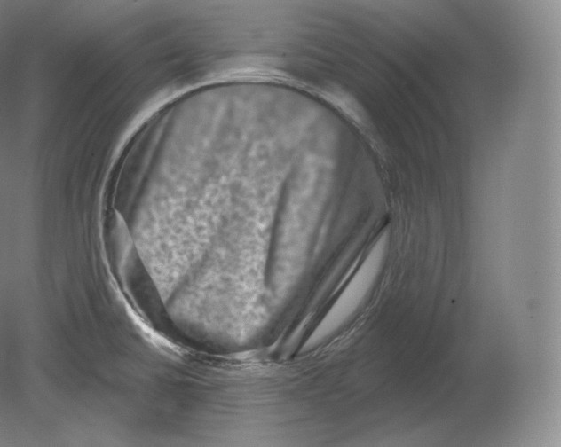 X0000080181430200701051645