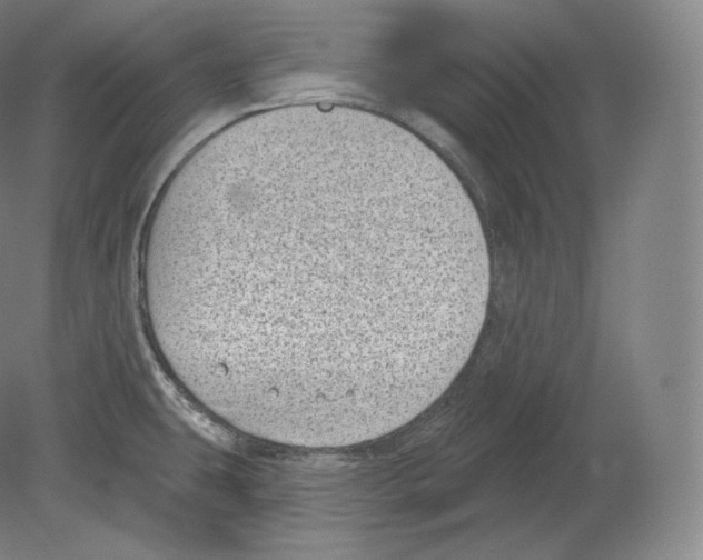 X0000080181431200701051645