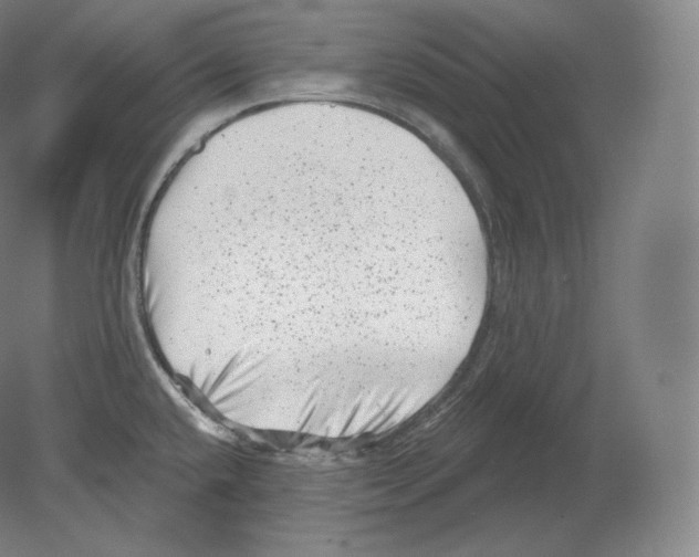 X0000080181432200701051645