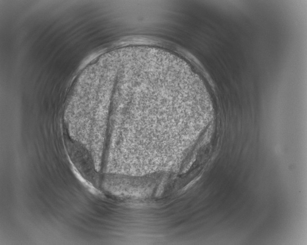 X0000080181433200701051645