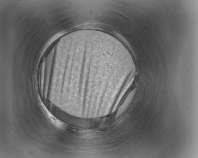 X0000080181434200701051645