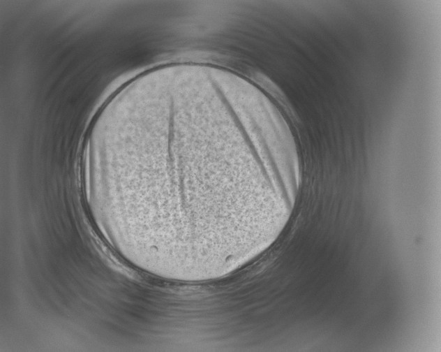 X0000080181436200701051645