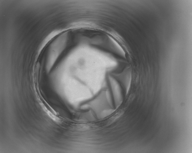 X0000080181438200701051646