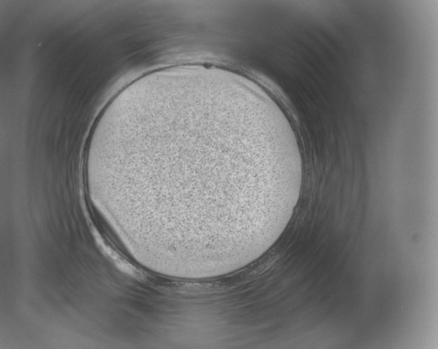 X0000080181439200701051646