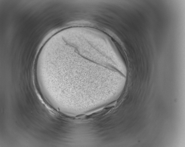 X0000080181440200701051646