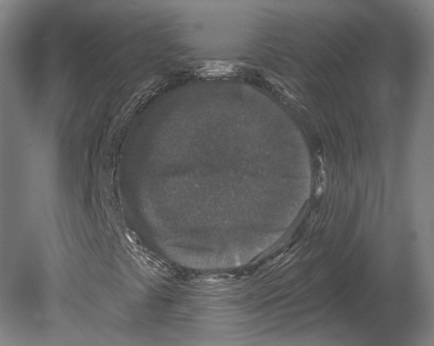 X0000080181441200701051645