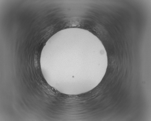 X0000080181442200701051645