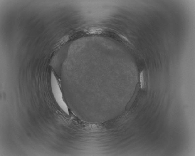 X0000080181443200701051645