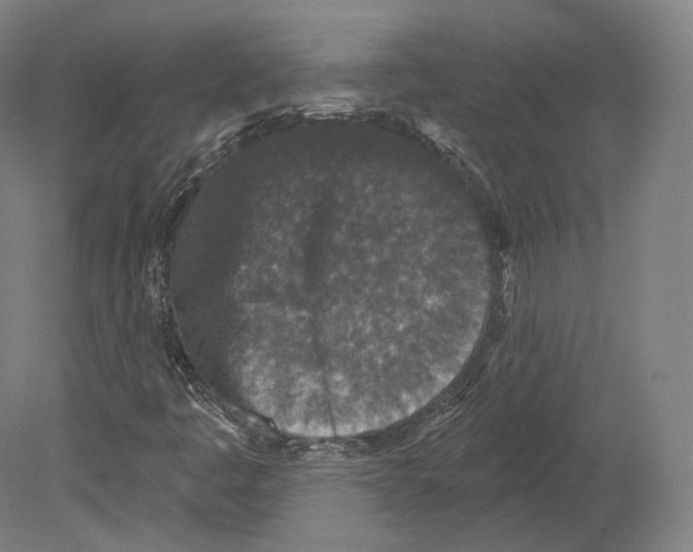 X0000080181445200701051645