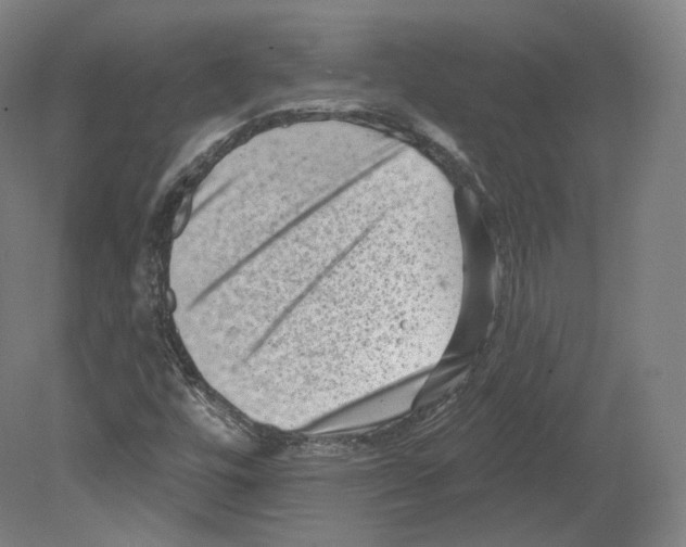 X0000080181448200701051645