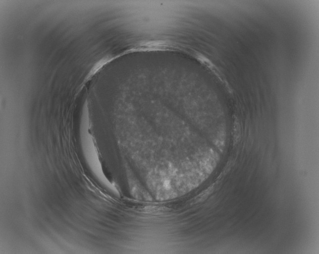 X0000080181449200701051645