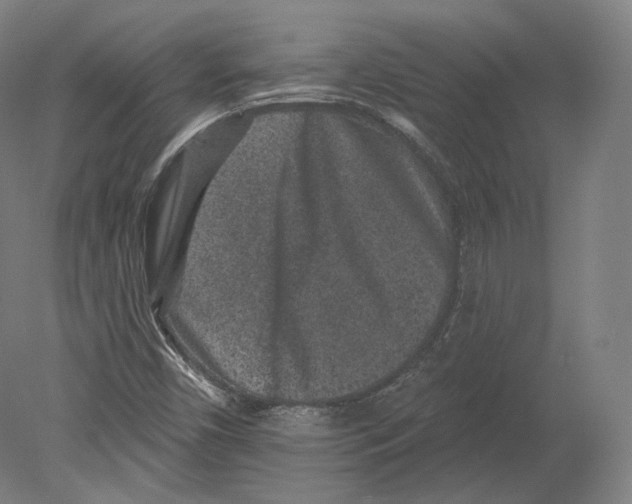 X0000080181450200701051645