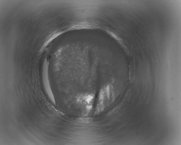 X0000080181453200701051645