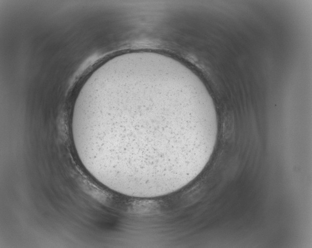 X0000080181454200701051645