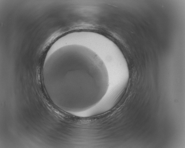 X0000080181455200701051645